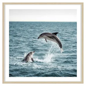 Dolphin Leap Framed Print in 103 x 103cm Natural by OZ Design, a Prints for sale on Style Sourcebook