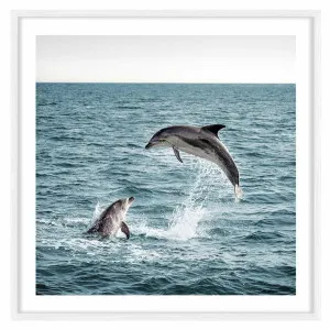 Dolphin Leap Framed Print in 95 x 95cm White by OZ Design, a Prints for sale on Style Sourcebook