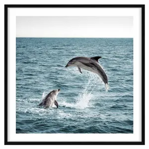Dolphin Leap Framed Print in 103 x 103cm Black by OZ Design, a Prints for sale on Style Sourcebook