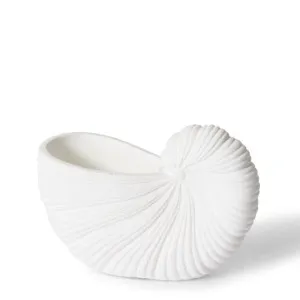 Conch Shell Pot White - 15cm by Elme Living, a Plant Holders for sale on Style Sourcebook