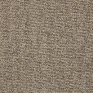 Sirocco - Argan Spice 5947 by EC Carpets, a Loop for sale on Style Sourcebook