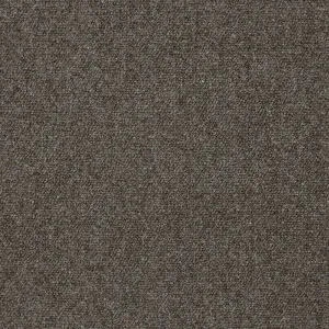	Sirocco - Basalt Dune 5988 by EC Carpets, a Loop for sale on Style Sourcebook