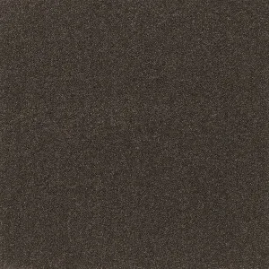 District Loft - Forge 9218 by EC Carpets, a Loop for sale on Style Sourcebook