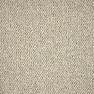 Pebble Bay - Keppel 4833 by EC Carpets, a Loop for sale on Style Sourcebook