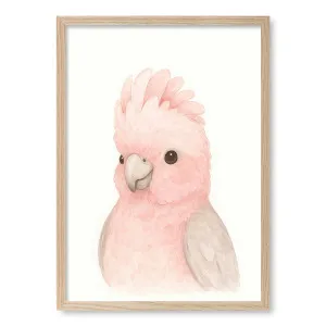 Animal Friends Pink Galah Childrens Wall Art Print by Profile Australia, a Prints for sale on Style Sourcebook