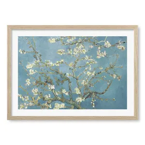 Almond Blossom - Vincent van Gogh Art Print by Profile Australia, a Prints for sale on Style Sourcebook