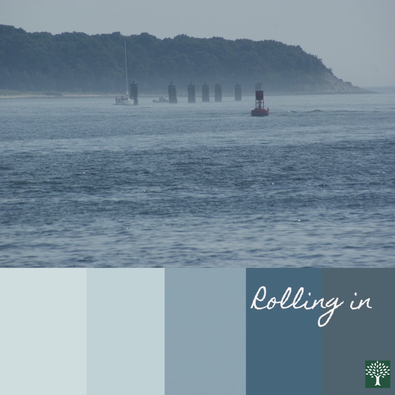 Colour Board - Rolling In Interior Design Mood Board by Chestnut Interior Design