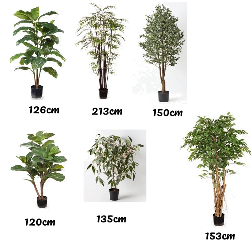 Twee tree Mood Board by Rhiannon Lee, Oleander & Finch Interiors on Style Sourcebook