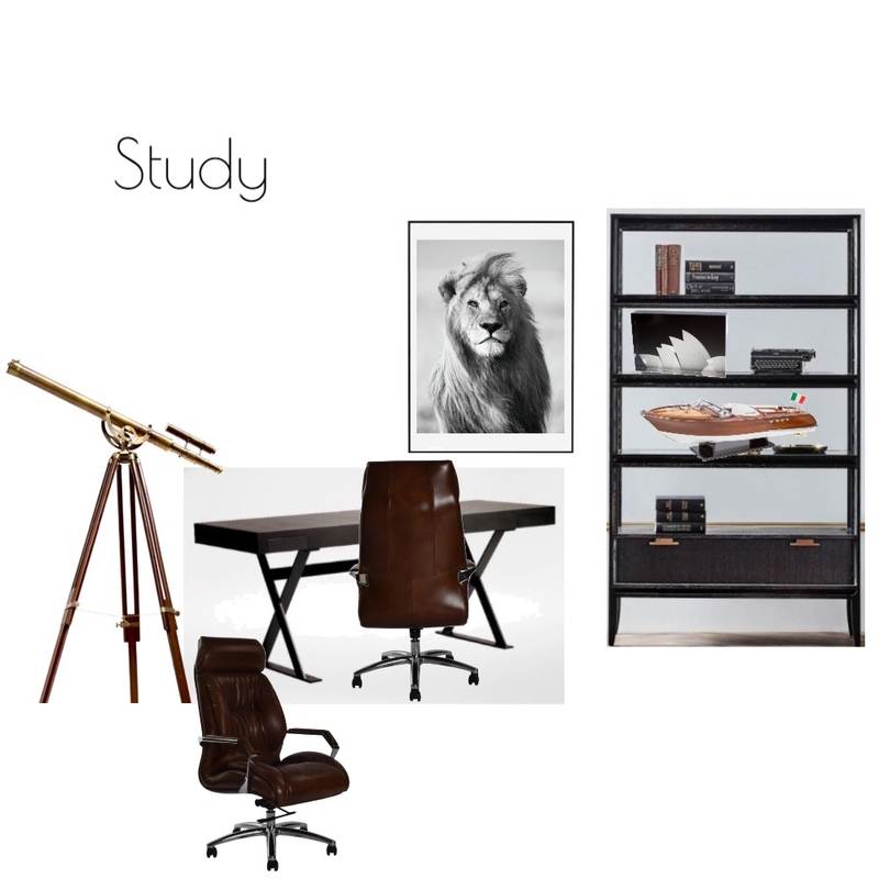 Amz Study Mood Board by Batya Bassin on Style Sourcebook