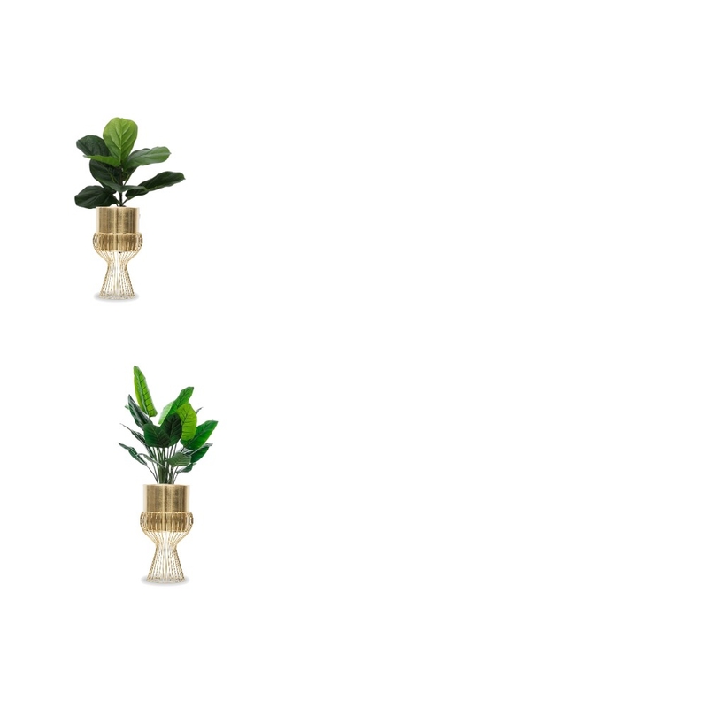 Plants Mood Board by Melissa Schmidt on Style Sourcebook