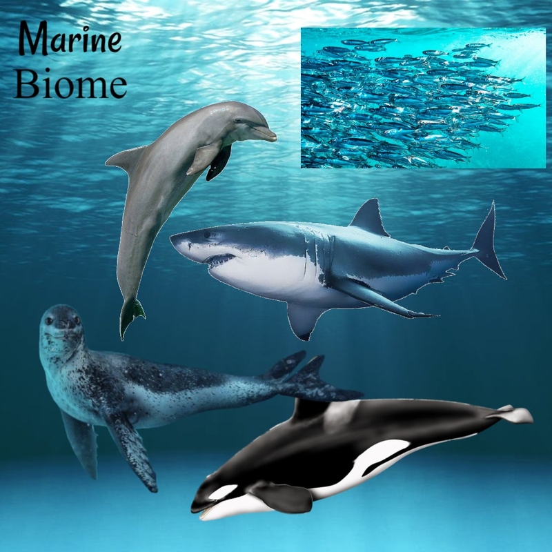 MARINE Mood Board by HeidiN on Style Sourcebook