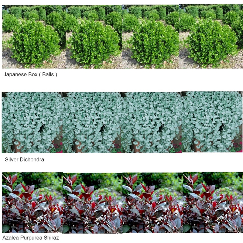 Tiered Landscaping Final Option Mood Board by J.Howard on Style Sourcebook