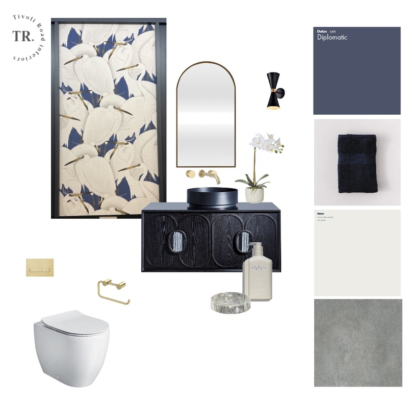 Sandra Powder Room Mood Board by Tivoli Road Interiors on Style Sourcebook