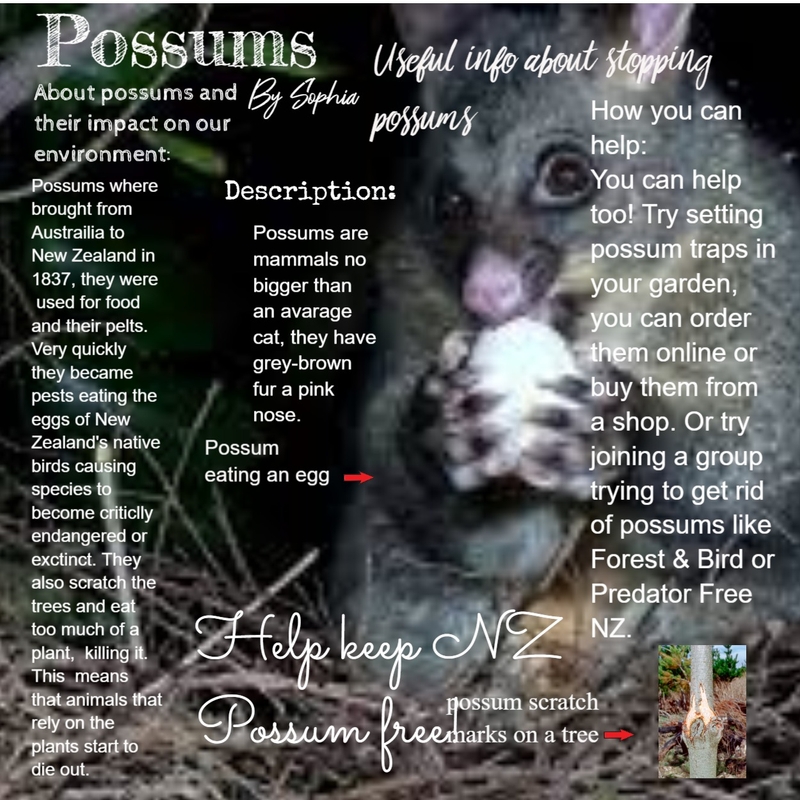 🦊👻🐉 Mood Board by HeidiN on Style Sourcebook