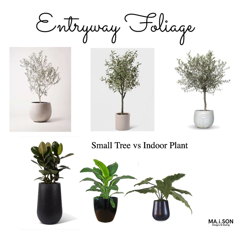 Entryway - Indoor Plants or Small Indoor plants Mood Board by JanetM on Style Sourcebook