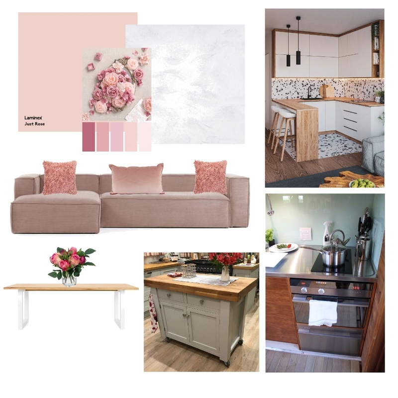 Kaz - Pink Rose Concept - Apartment living. Mood Board by Becks Interior Designs on Style Sourcebook