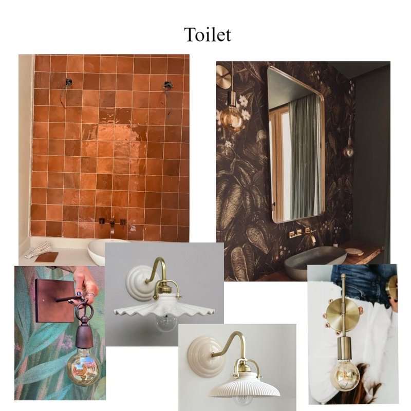 Toilet Mood Board by Lulifernandez on Style Sourcebook