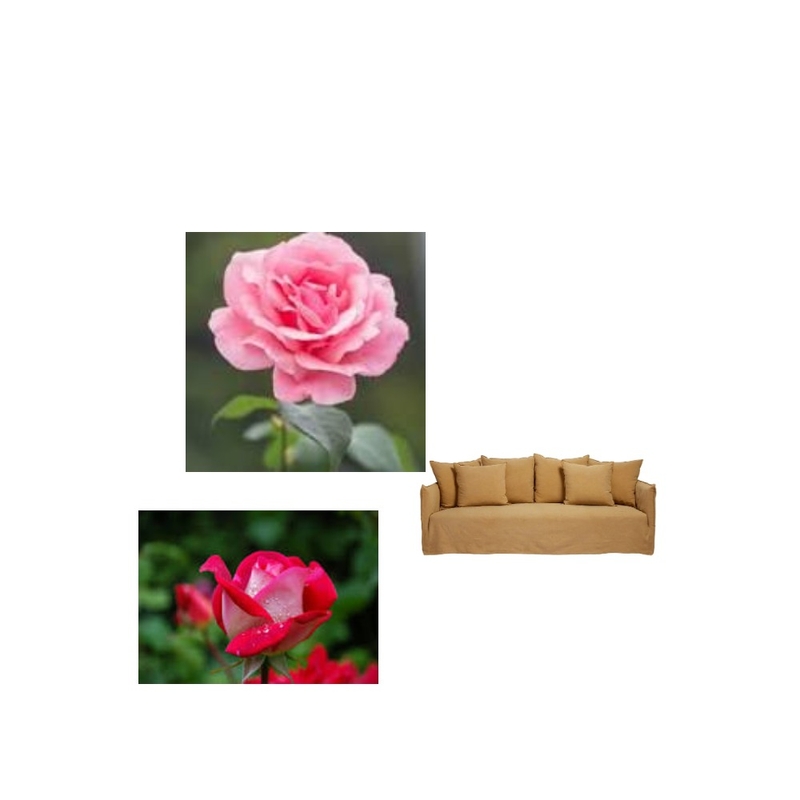 dcc Mood Board by mehmona bibi on Style Sourcebook