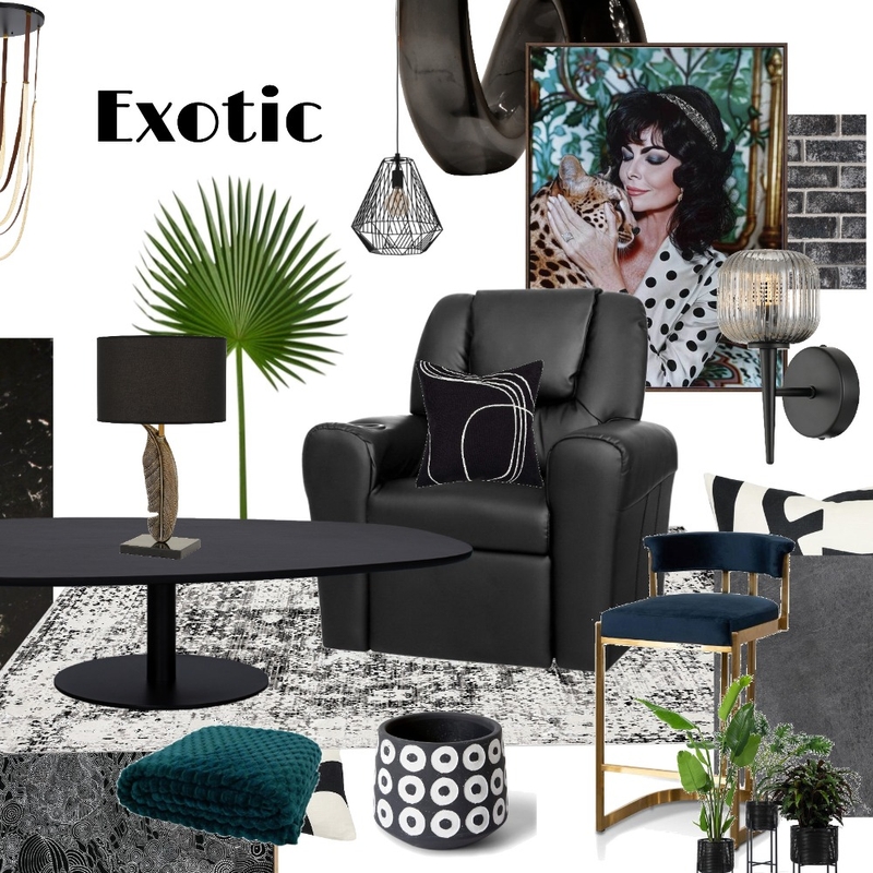 Black and White Exotic Nest Mood Board by SilverOwl on Style Sourcebook