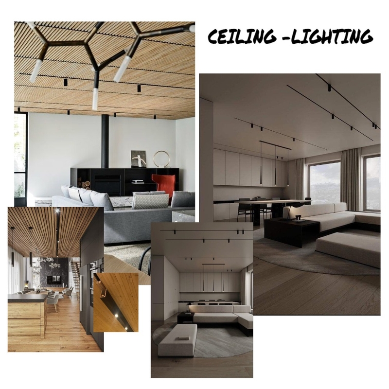 Ceiling / lighting Concept Mood Board by asusap on Style Sourcebook