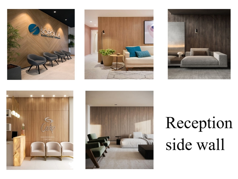 Reception side wall Mood Board by Kossenza Homes on Style Sourcebook