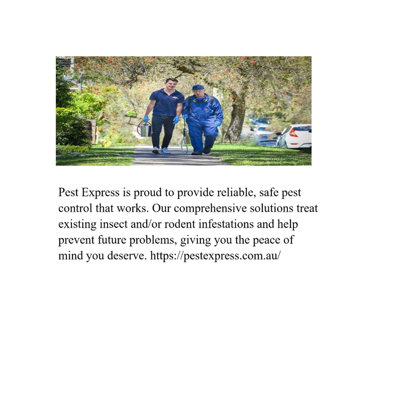 Pest Express Mood Board by Pest Control on Style Sourcebook