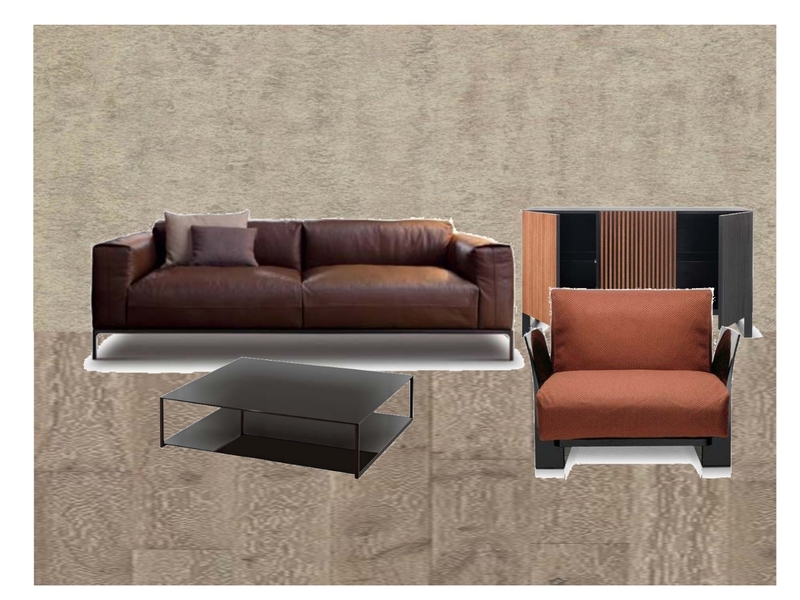 Dnevna soba koloritna šema A Mood Board by Vesna Vučetić on Style Sourcebook