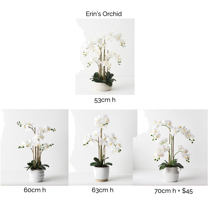 Hodgkinson - Orchids Mood Board by EGanley on Style Sourcebook