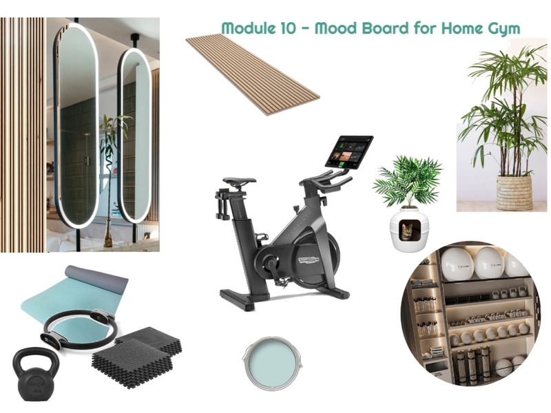 Module 10 - Gym Mood Board 30-05-25.1 Mood Board by JudyK on Style Sourcebook