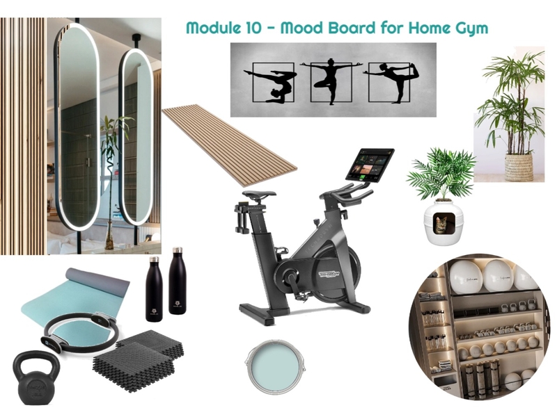 Module 10 - Gym Mood Board 30-05-25.2 Mood Board by JudyK on Style Sourcebook