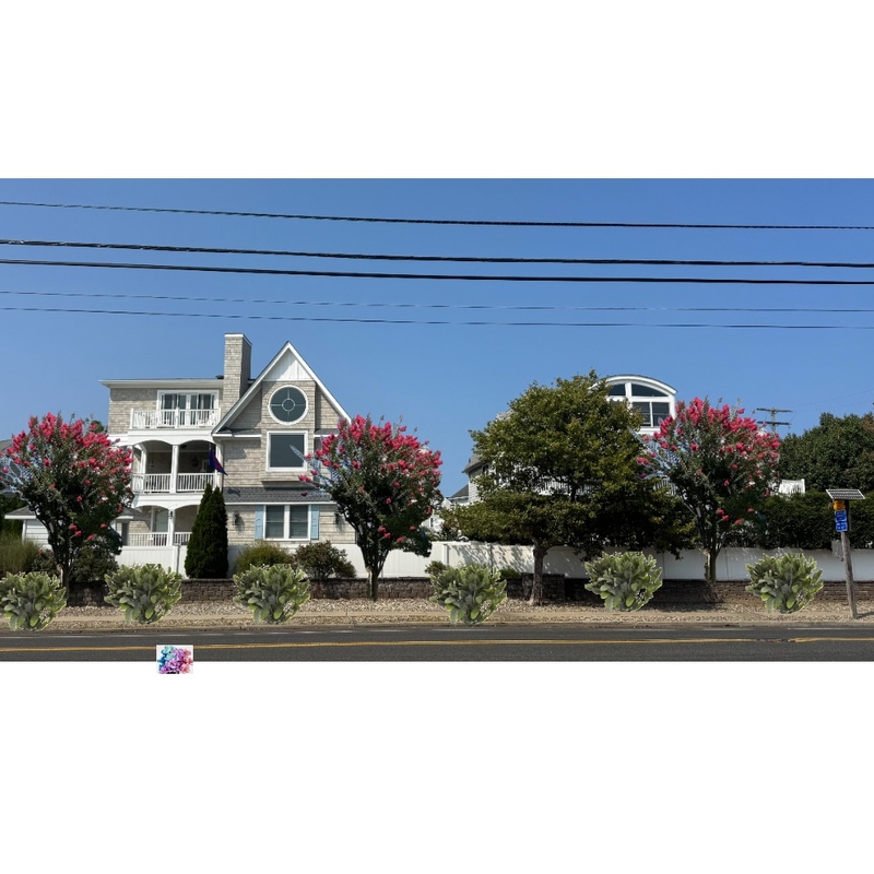 back fence Mood Board by boczons@comcast.net on Style Sourcebook