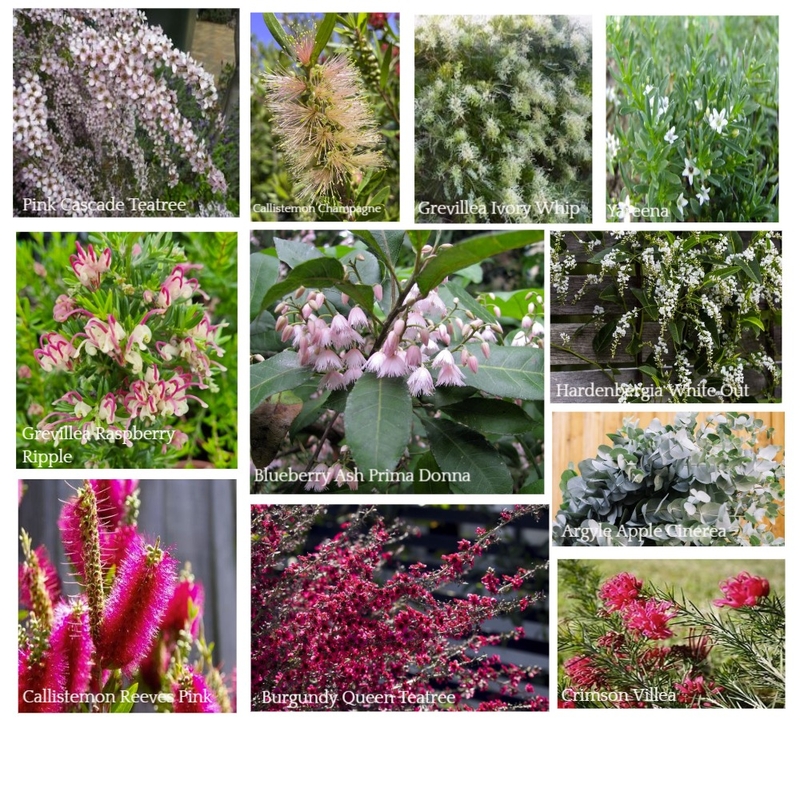 Haybale House - Native Plants Mood Board by DonnaB on Style Sourcebook