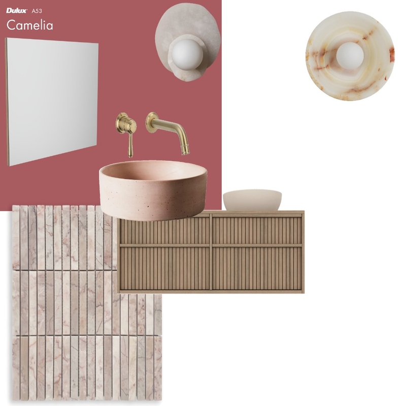 Powder room pink Mood Board by cdef on Style Sourcebook