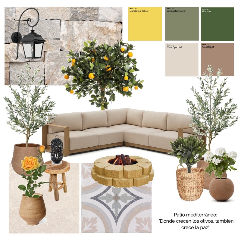 Patio Mediterraneo 5 especies Mood Board by osopanda1289 on Style Sourcebook