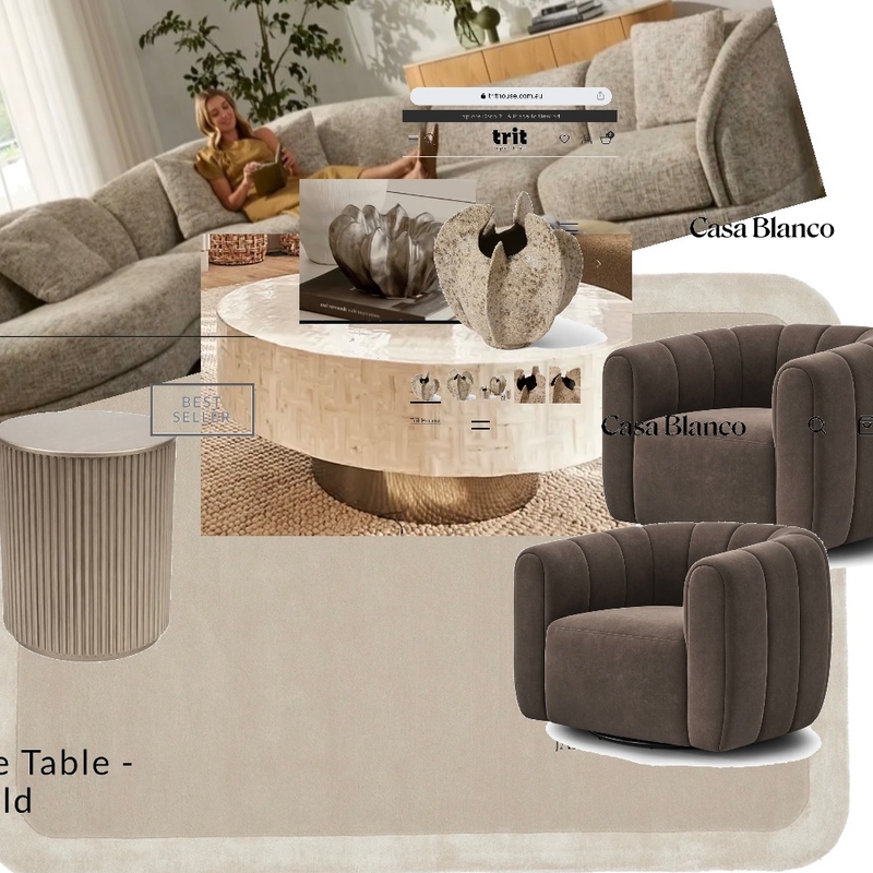 Living area 3 Interior Design Mood Board by vids