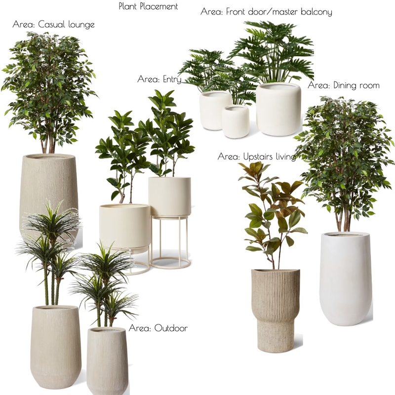 Plant Placement Interior Design Mood Board by The Styling Crew
