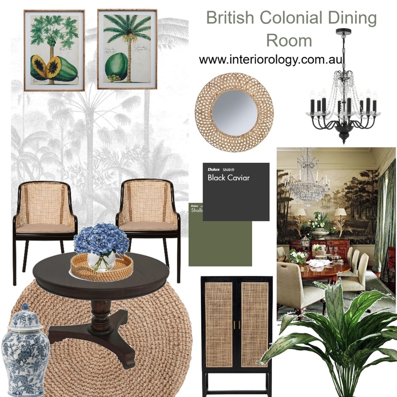 Shop the look - British Colonial Dining Room Aug 2026 Interior Design Mood Board by interiorology Shop the look - British Colonial Dining Room Aug 2026 Interior Design Mood Board by interiorology